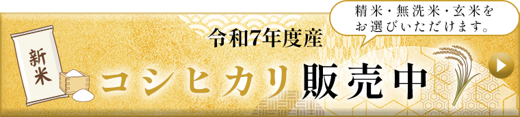 令和7年度産コシヒカリ販売中